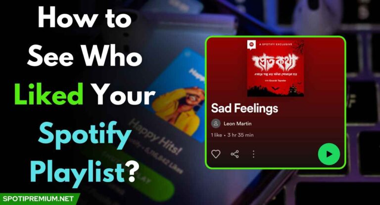 How to See Who Liked Your Spotify Playlist