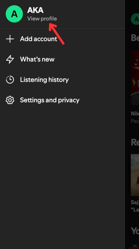 Spotify Stats on Phone 2